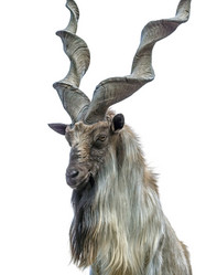 Similar image 21844318