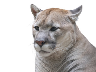 Similar image 21844529