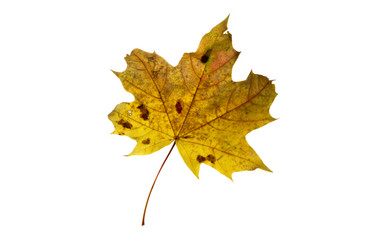 Similar image 21844531