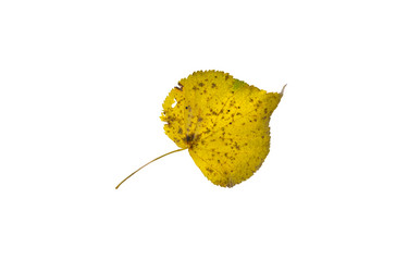 Similar image 21844533