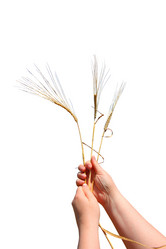 Similar image 21844534