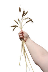 Similar image 21844536