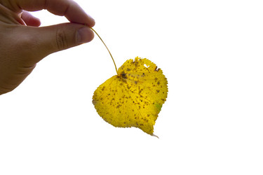 Similar image 21844537