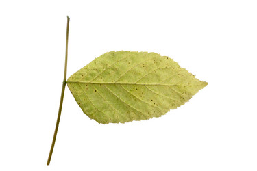 Similar image 21844540