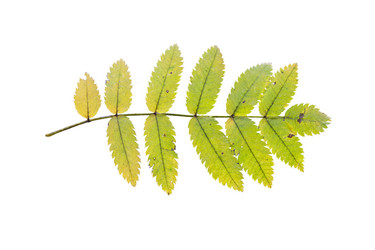 Similar image 21844542