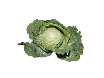 Similar image 21844546