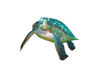 Similar image 21844556