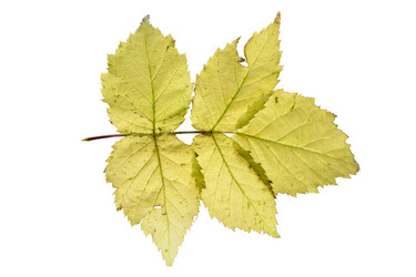 Similar image 21844557