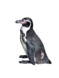 Similar image 21844558