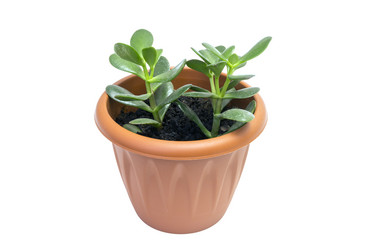 Similar image 21844560