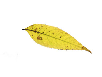 Similar image 21844562