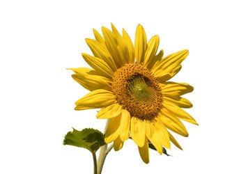 Similar image 21844566