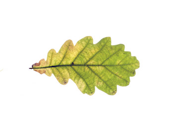 Similar image 21844571