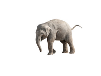 Similar image 21844574