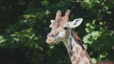 Similar image 21844577