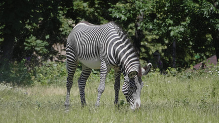 Similar image 21844578