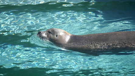 Similar image 21844579