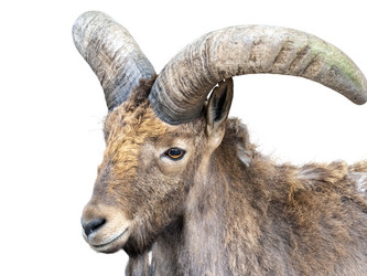 Similar image 21844320