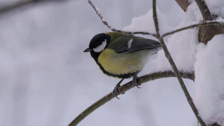 Similar image 21844587