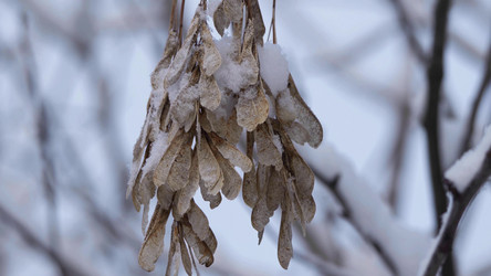 Similar image 21844588