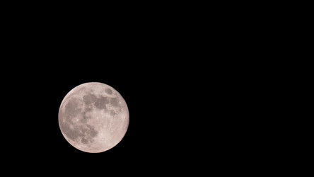 Similar image 21844591