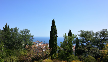 Similar image 21832226