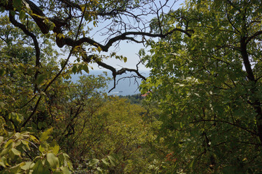 Similar image 21832231