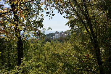 Similar image 21832232