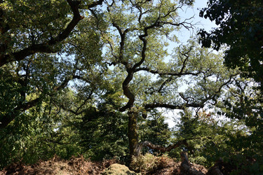 Similar image 21832233