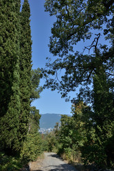 Similar image 21832236