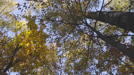 Similar image 21844592