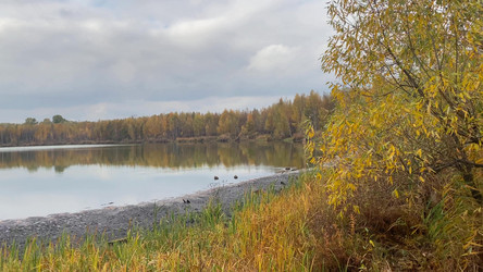 Similar image 21844595