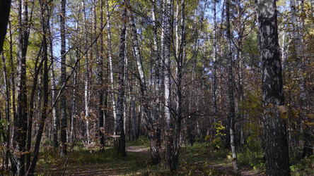 Similar image 21844597