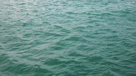 Similar image 21844603