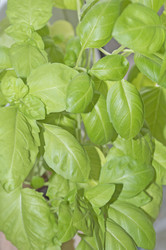 Similar image 21832249