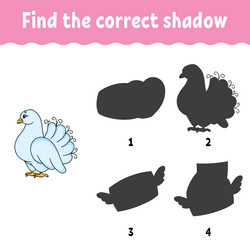 Similar image 21832267