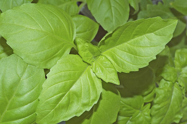 Similar image 21832289