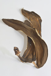 Similar image 21840657