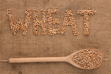 Similar image 21832356