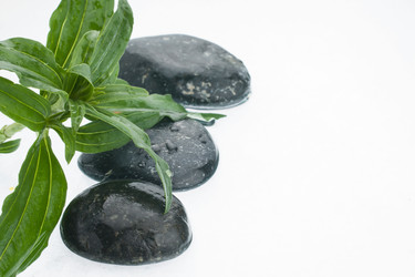 Similar image 21832372