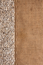 Similar image 21832392