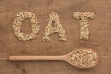 Similar image 21832394