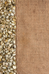 Similar image 21832397