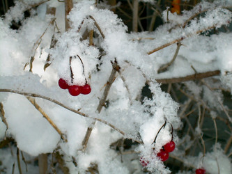 Similar image 21832046