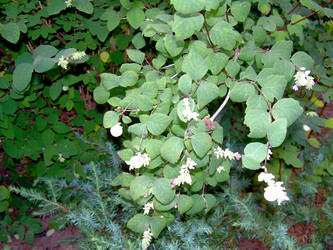 Similar image 21832049