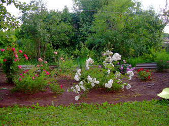 Similar image 21832050