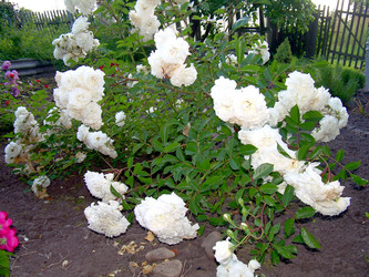 Similar image 21832051