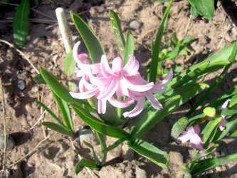 Similar image 21832053