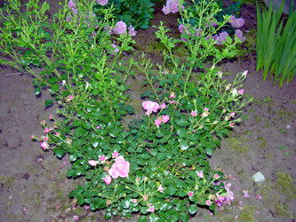 Similar image 21832054