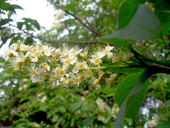 Similar image 21832056